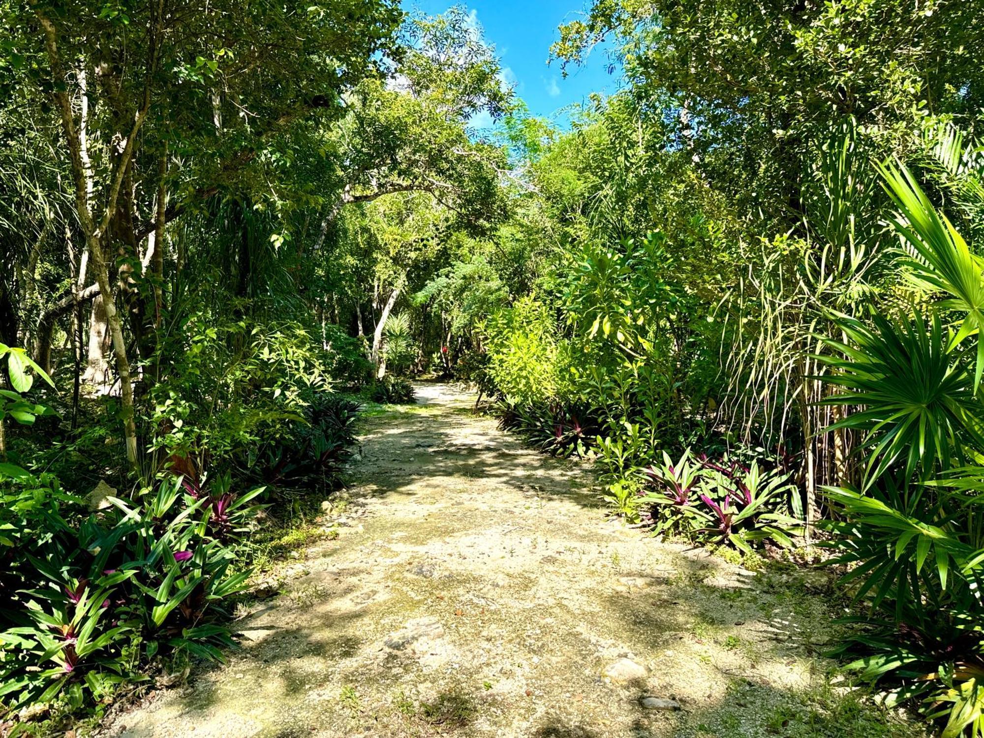 Glamping Bunga Lotus Hotel Tulum Exterior photo
